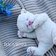 Order Soft toys: Newborn kitten. KravetsTatyana. Livemaster. . Stuffed Toys Фото №3