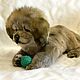 Tibetan Mastiff Dog. Stuffed Toys. zubarevairina. My Livemaster. Фото №6