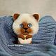 felted Cat brooch. Brooches. Felt toy fromKristina Antropova. My Livemaster. Фото №9