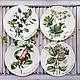 Painted porcelain Plates on the wall herb garden, Plates, Kazan,  Фото №1