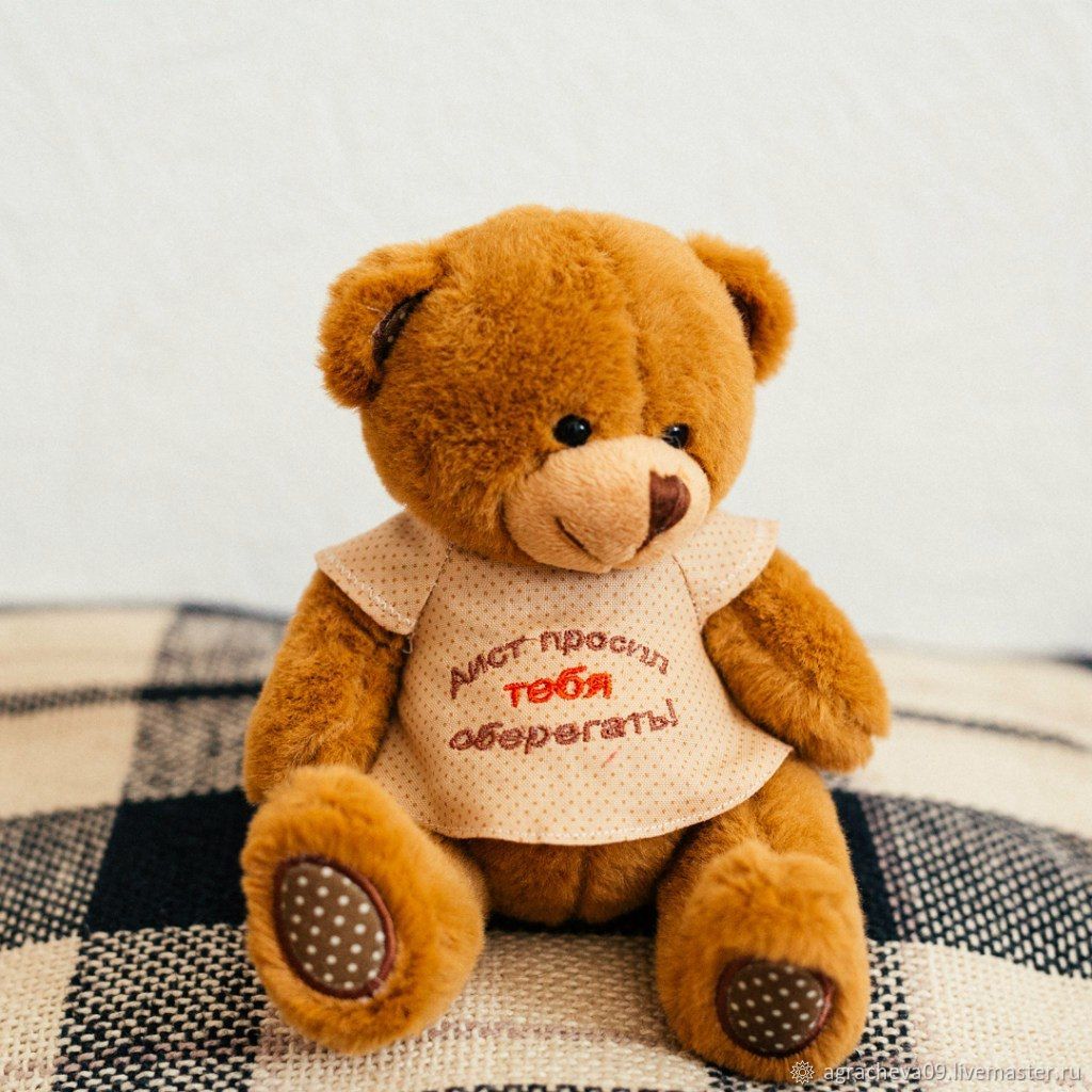 Плюшевые игрушки. Мягкий мишка. Мягкая игрушка медведь большой. Именной медвежонок. Мишка на заказ.