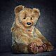 Order Soft toys: Bear Prosha. Teddybeasts. Livemaster. . Stuffed Toys Фото №3