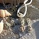 Пуговицы ручной работы Море всегда с тобой!. Пуговицы. Художник Наталья Мигурская. Интернет-магазин Ярмарка Мастеров.  Фото №2