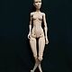 Кукла BJD Lilly. 3d печать. Шарнирная кукла. Людмила Макарова. Ярмарка Мастеров.  Фото №5