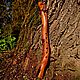 Флейта Индейцев Пимак (D/Low) ~ Древний Дракон/Native American Flute D. Флейты. JIva Ljos. Ярмарка Мастеров.  Фото №6