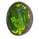 Panels of moss with illumination. Fitokartins. goodly-studio. Online shopping on My Livemaster.  Фото №2