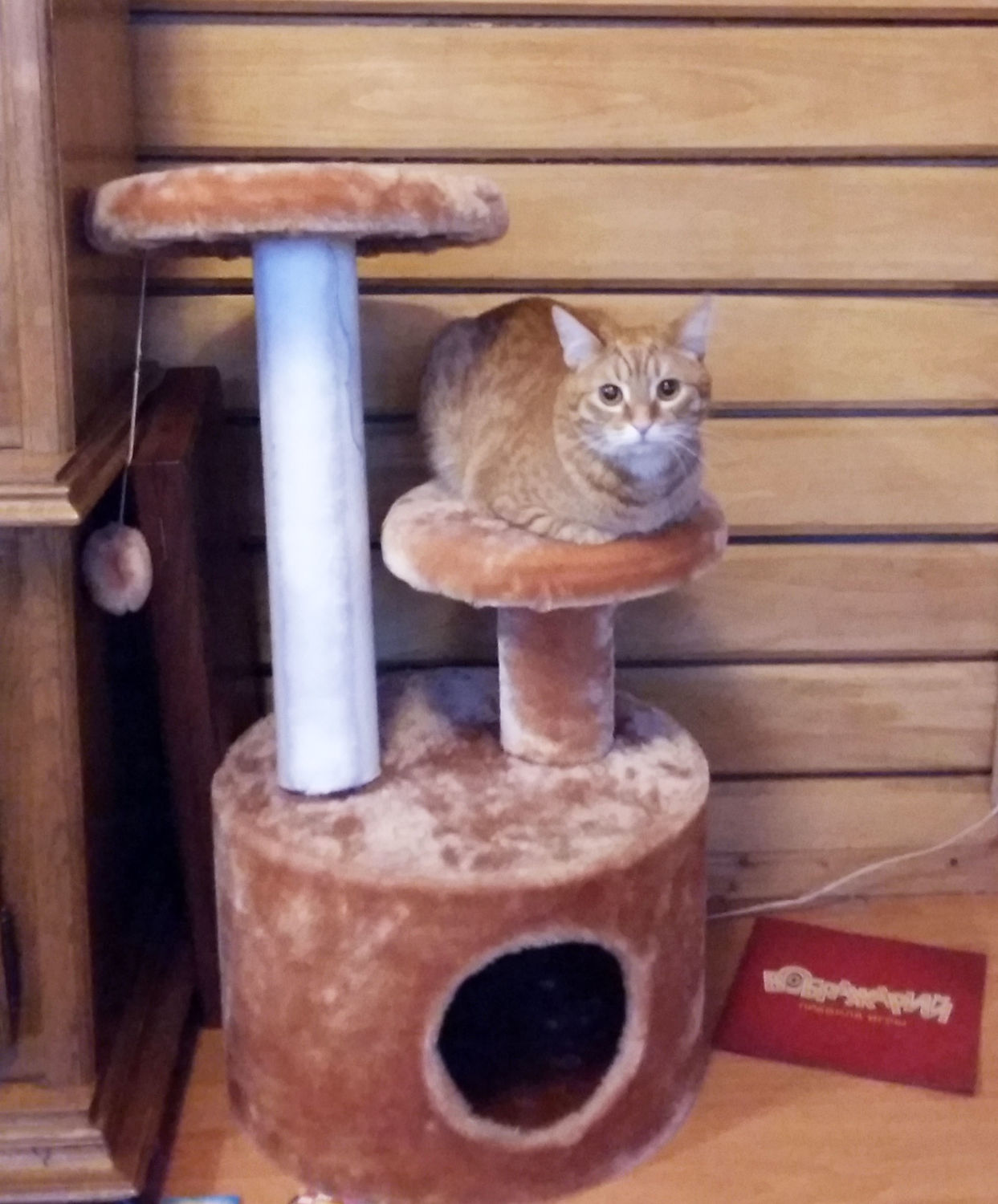 Мой профиль