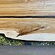 Headboard for a bed made of elm slab. Bed. uloft. My Livemaster. Фото №5