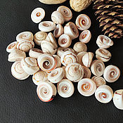 Материалы для творчества handmade. Livemaster - original item Spiral Shell Beads Lisway 5 pcs.. Handmade.