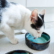 Керамическая миска для кошки или маленькой собаки для еды/воды