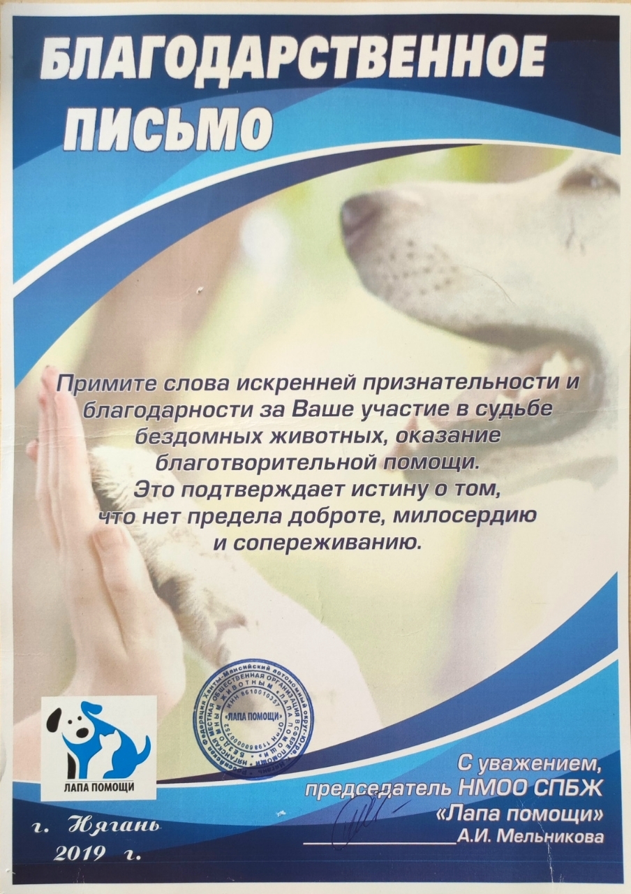 Мой профиль