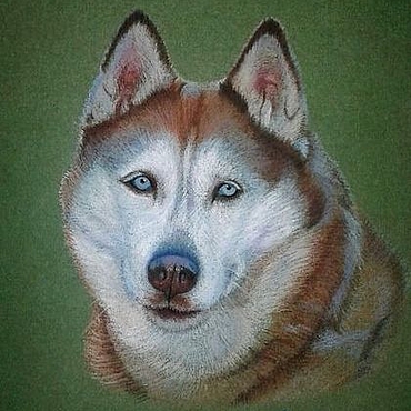 Картины и панно ручной работы. Ярмарка Мастеров - ручная работа Портрет хаски. Handmade.