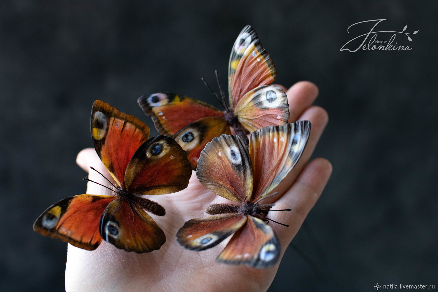Бабочки из ХФ, Украшения для цветочных горшков, Новокузнецк,  Фото №1