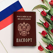 Обложка на паспорт "Стимпанк"