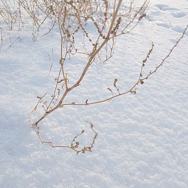 Материалы для творчества ручной работы. Ярмарка Мастеров - ручная работа Фоторабота "сНежность". Handmade.