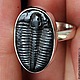 Заказать Кольцо "Artefact" с трилобитом. DragonStone. Ярмарка Мастеров. . Кольца Фото №3