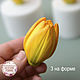 Silicone mold Tulip 'Apricot' type A (3 on the form), Form, Zheleznodorozhny,  Фото №1