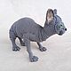 Вязаный кот Сфинкс. Амигуруми куклы и игрушки. Дарья (kirakinder). Ярмарка Мастеров.  Фото №4