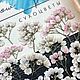 Сухоцвет плоский озотамнус #1. Сухоцветы для творчества. wow_flowers_26. Ярмарка Мастеров.  Фото №6