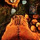 Заказать ᚦᛝ: Сверкающее Око. ( с метеоритом ). Шаманское Дерево. Ярмарка Мастеров. . Оберег Фото №3