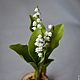 Botanical sculpture 'Lily of the valley', Flowers, Vladivostok,  Фото №1