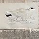 Винтаж: Антикварная ксилография 1853 года. Картины винтажные. BERËZA ANTIQUES. Ярмарка Мастеров.  Фото №4