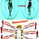Работа с аурой и тонкоматериальными струкрурами человека. Чистка. Оберег. Sergey-mir-cheloveka. Ярмарка Мастеров.  Фото №6