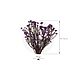 Заказать Стабилизированные ветви Helychrisium Diosmifolium Natural Lilac. Flority. Ярмарка Мастеров. . Цветы сухие и стабилизированные Фото №3