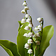 Botanical sculpture 'Lily of the valley'. Flowers. KG_flowers. My Livemaster. Фото №4