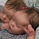 Куклы реборн Twin A и Twin B, Куклы Reborn, Глазуновка,  Фото №1