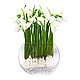 Snowdrops in a glass vase with ice. Plants. best-coll-mos. Online shopping on My Livemaster.  Фото №2