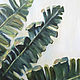 Banana palm Bali oil Painting. Pictures. Viktorianka. My Livemaster. Фото №6