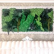 Картины и панно handmade. Livemaster - original item Picture of stabilized moss and plants. Handmade.