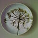 Order 'Dill' Plate decorative. botanica-m. Livemaster. . Plates Фото №3