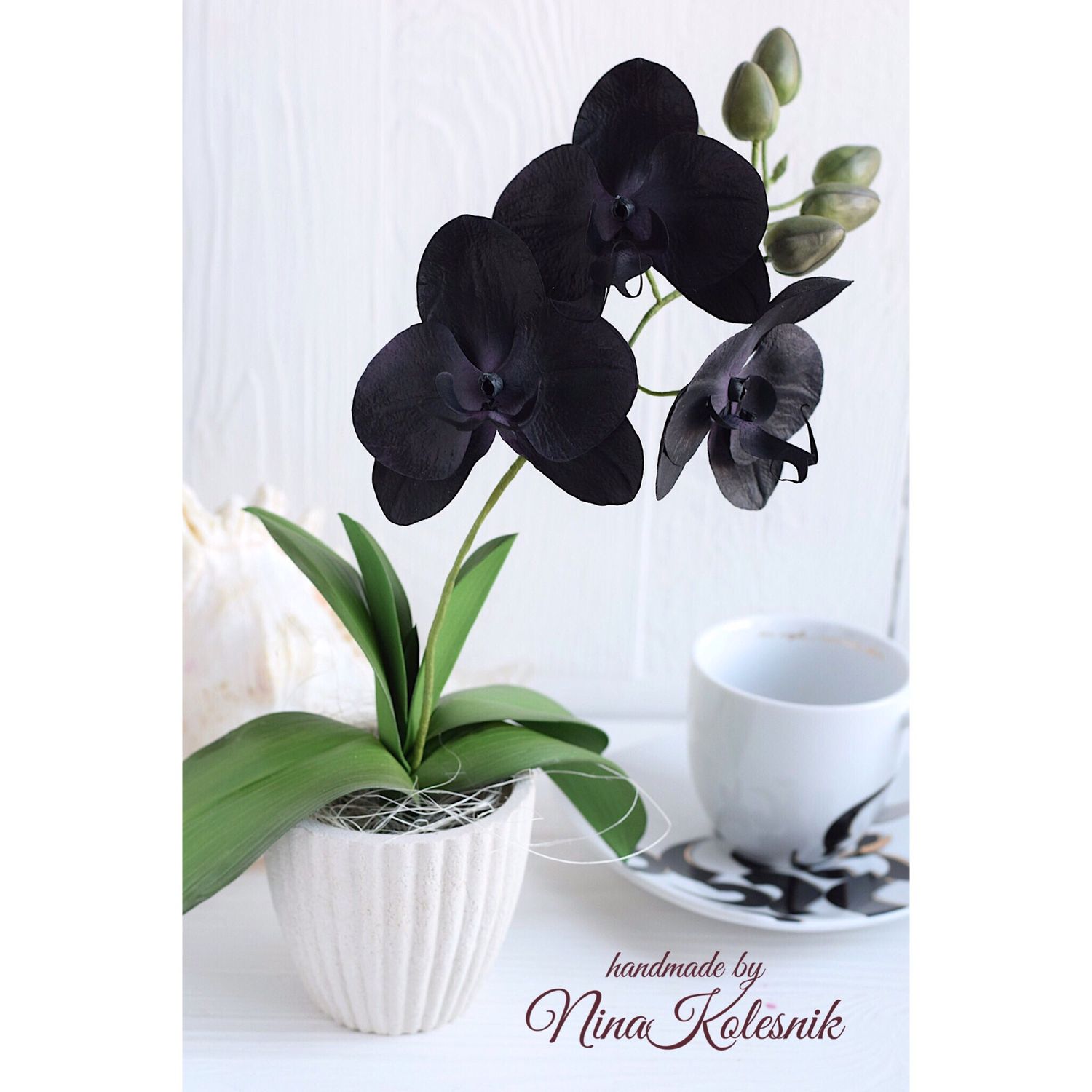 Orquídea phalaenopsis de floración negra en macetas – купить на Ярмарке  Мастеров – LHE3UCOM | Flowers, Moscow