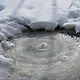 Удивительное рядом 2. Фотокартины. OrehovayaSonyaN. Ярмарка Мастеров.  Фото №6