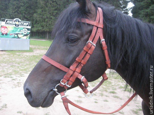 horse tack accessories