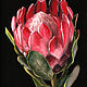  Proteus Flower. Original. Pastel, Pictures, St. Petersburg,  Фото №1