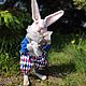 Белый кролик из Алисы в стране чудес , Войлочная игрушка, Калининград,  Фото №1