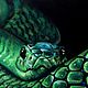 Painting with pastels 'Green snake'. Pictures. ArtFairy Portrets and Caricatures (artfairy). Online shopping on My Livemaster.  Фото №2