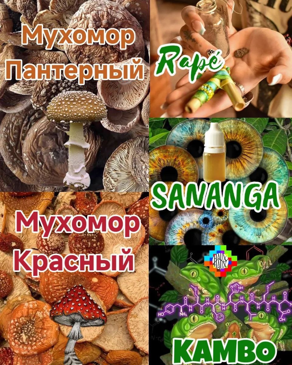 Мой профиль