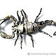 Подвеска из серебра Скорпион BW-20-03. Подвеска. Blacksilver. Интернет-магазин Ярмарка Мастеров.  Фото №2