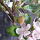 Order Apple polymer clay. Marina Zhadan. Livemaster. . Flowers Фото №3