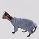 Clothing for cats Medical blanket for allergies and licking, Pet clothes, Biisk,  Фото №1