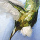 Hummingbird Oil painting 30 x 40 cm Tropical bird. Pictures. Viktorianka. My Livemaster. Фото №5