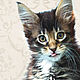 Логотип. Фирменный стиль. Сертификат для кошки. Буклет, Создание дизайна, Санкт-Петербург,  Фото №1
