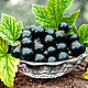 Листья смородины (Cassis leaf) отдушка, 10 мл, Ароматизаторы, Москва,  Фото №1