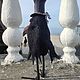 Ворон на Хэллоуин.Войлочная игрушка из шерсти:Граф Воронцов. Войлочная игрушка. Алиса Демидова Woolen House. Ярмарка Мастеров.  Фото №8
