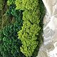 Round phytocart of different types of moss 100 cm. Moss. Антонина Литовкина - Озеленение (Планета Флористики). My Livemaster. Фото №5