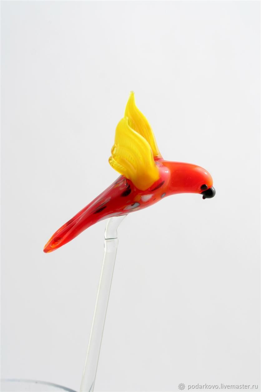 Колибри гусь хрустальный. Магазин колибри гусь-хрустальный. Магазин одежды колибри. Колибри кемерово. Стеклянная колибри.